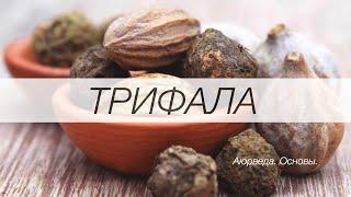 Трифала. Аюрведа. Основы.