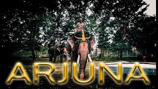 Arjuna mass entry, mass bgm ನೋಡಿ ಖುಷಿಪಡಿ.  The forest King Dasara elephant Arjuna