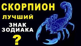 10 ПРИЧИН ПОЧЕМУ СКОРПИОН - ЛУЧШИЙ ЗНАК ЗОДИАКА  СЛОЖНЫЙ, ХРАБРЫЙ И РЕШИТЕЛЬНЫЙ. Гороскоп Скорпион