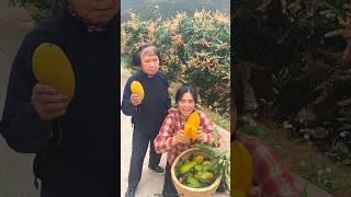 Harvesting sweet Ripe mango  from farm  #shorts #mango #youtubeshorts