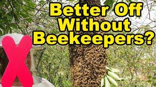 Beekeeping: Would Honey Bees Be Better Off Without Beekeepers?