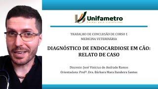 Diagnóstico de Endocardiose - Apresentação de TCC 1