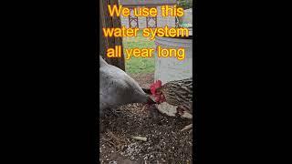 The Best Water System for your chicken coop!  Even in freezing weather!