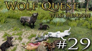 A Missing Pup on Our SUMMER Journey?!  WOLF QUEST: WILD MEADOW • #29