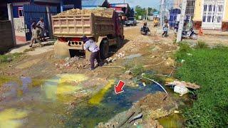 Wonderful Dozer D20-P KomaTsu Pushing Stone into Flooded Road, Fillland Using 5t Dump Truck, Mix VDO