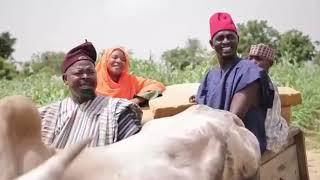 Funny hausa video • nabraska and daushe speaking kanuri