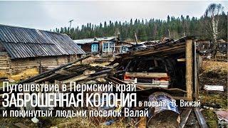 ПОКИНУТЫЙ людьми поселок ВАЛАЙ. Волк на дороге. ЗАБРОШЕННАЯ колония в поселке ВИЖАЙ.