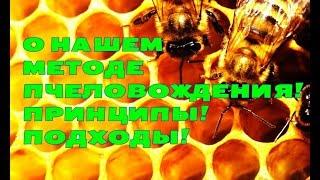 Пасека! Вводное видео о пасеке! О методе пчеловождения! О принципах, о подходах!