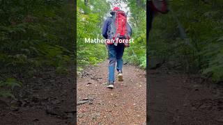 Matheran Forest   #forestcamping #camping #nature #solocamping #campingindia #rain #viral