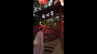 智者说：你我与古圣先贤拥有着同样的心～#修行 #静心#行者项坤