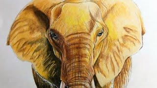 elephant painting tutorial (step by step) for beginners | Simple Techie Artist