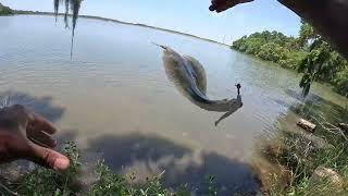 Practicing Catching Fish, Especially Big Flounder In Catch & Release Salt Pond With Greg.