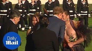 Prince Harry receives a traditional welcome in New Zealand - Daily Mail