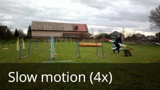 Equal distance slow motion