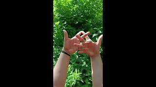 Yoni Mudra (Womb Gesture)