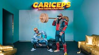 Dani Mocanu x @AlexVelea - Cariceps | Official Video  