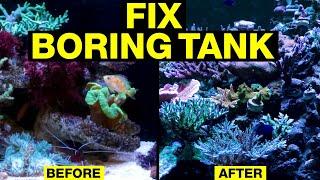 BORED with your Saltwater Tank? 20 New Ideas to Solve Reef Tank Blues