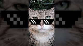 вот ещё эдит