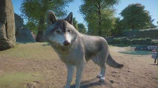 Planet Zoo: Timber Wolf