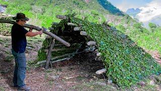 Chef Tavakkul Alone in the Wilderness! Bushcraft is High in the Mountains