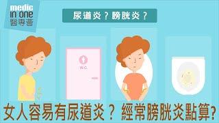 泌尿健康｜女人容易有尿道炎？經常膀胱炎點算？