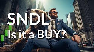 SNDL's Surge Potential: Friday's In-Depth Analysis & Key Predictions - Act on This Opportunity!