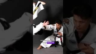 Боевые искусства мира! Хапкидо. #боевыеискусства #единоборства #martialarts