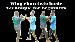 Wing chun twtc basic technique for beginners