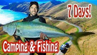 Camping & Fishing at French Pass Is Insane - Big Kingfish, Crazy Adventure!!!