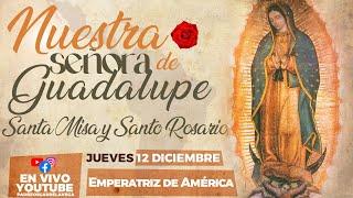 EN VIVONUESTRA SEÑORA DE GUADALUPE I SANTA MISA Y SANTO ROSARIO EN HONOR A LA VIRGEN I PadreOscar