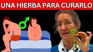 TOMA SOLO 1 TAZA para CURAR la DISFUNCION ERECTIL | Dra. Barbara O'Neill y Dr. William Li