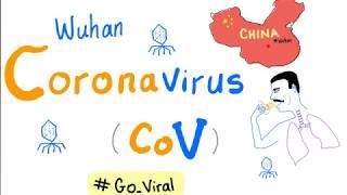 Novel Coronavirus (2019 nCoV  Outbreak ) [Update # 1] COVID-19