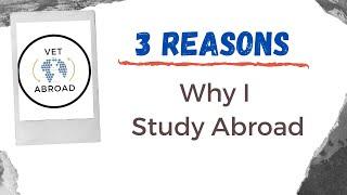 3 Reasons Why I Chose To STUDY ABROAD | Vet School in Europe!