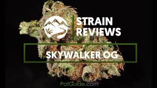 Strain Profile: Skywalker OG