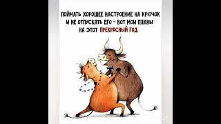 17 ноября 2024 г.