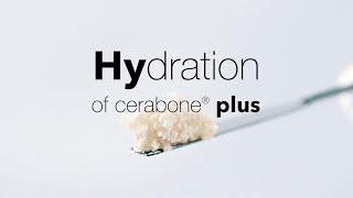 Hydration of cerabone® plus