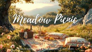 Meadow Picnic Immersion | Summer Relaxation | Ambient Worlds [1hr+]