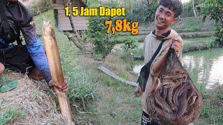 SARANG BELUT MONSTER MANCING 1,5 Jam STRIKE 7,8Kg