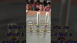 क्रोमेटोग्राफी का प्रयोग चाॅक के साथ chromatography science experiment with chalk वर्णलेखन का प्रयोग