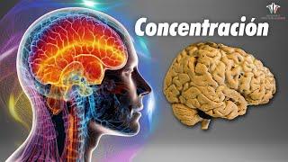 La Neurociencia detrás de la CONCENTRACIÓN...