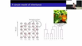 Professor Alison Etheridge - Modelling Genes Lecture