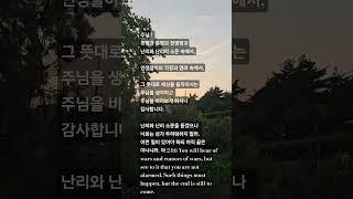 주님 바라기
