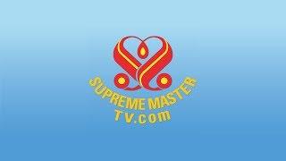 SupremeMasterTV Live (720p 1 + 1,432 x Max)