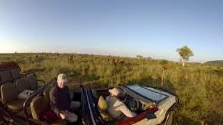 VR Elephant Wildlife Safari trip - Photos of Africa @livestreamnature @PhotosofAfrica @360ImageFilm.