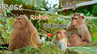 Family Rainbow…!! Libby take Rainbow go to meet Mom Rose .. Lucky day