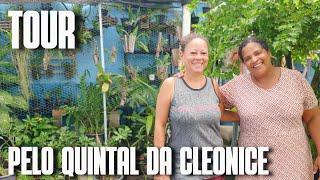 TOUR PELO QUINTAL DA CLEONICE: UM QUINTAL RAIZ, COM MUITAS FRUTÍFERAS E PLANTAS ORNAMENTAIS