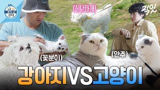 [나혼자산다] 집사 마음 녹이는 꽃분이&안주 MBC240412방송