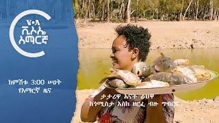 ከምሽቱ ሦስት ሠዐት የአማርኛ ዜና