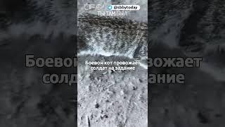 Боевой кот провожает в бой российских солдат под звук взрывов