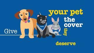 Petplan | Pet Insurance - Types Of Cover